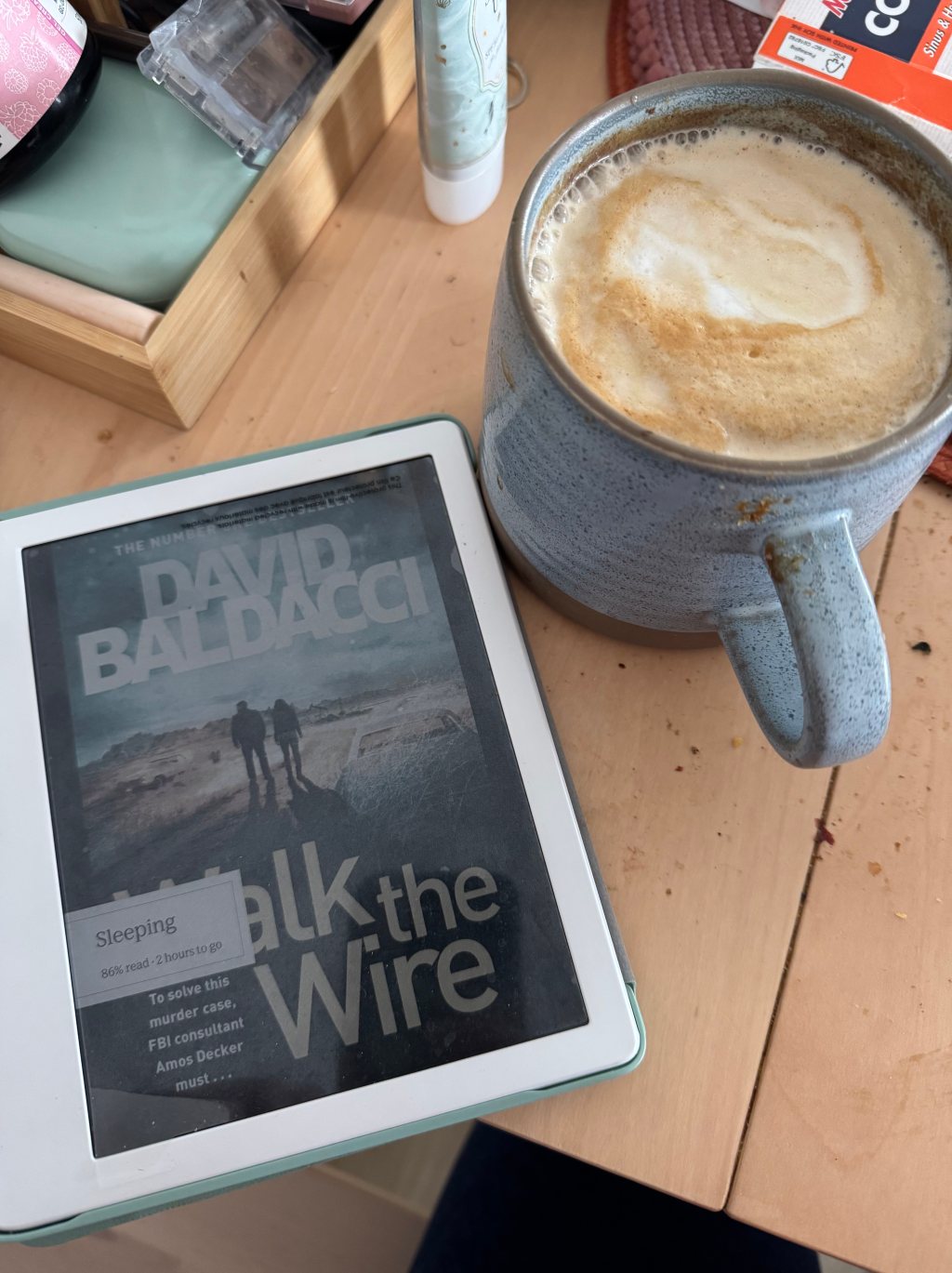 Walk The Wire (David Baldacci):愛的力量可以很偉大，亦都可以導致一個人盲目成為兇器